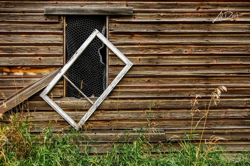 Flew the Coop (12" x 18", 60lb. River Linen 2.0)