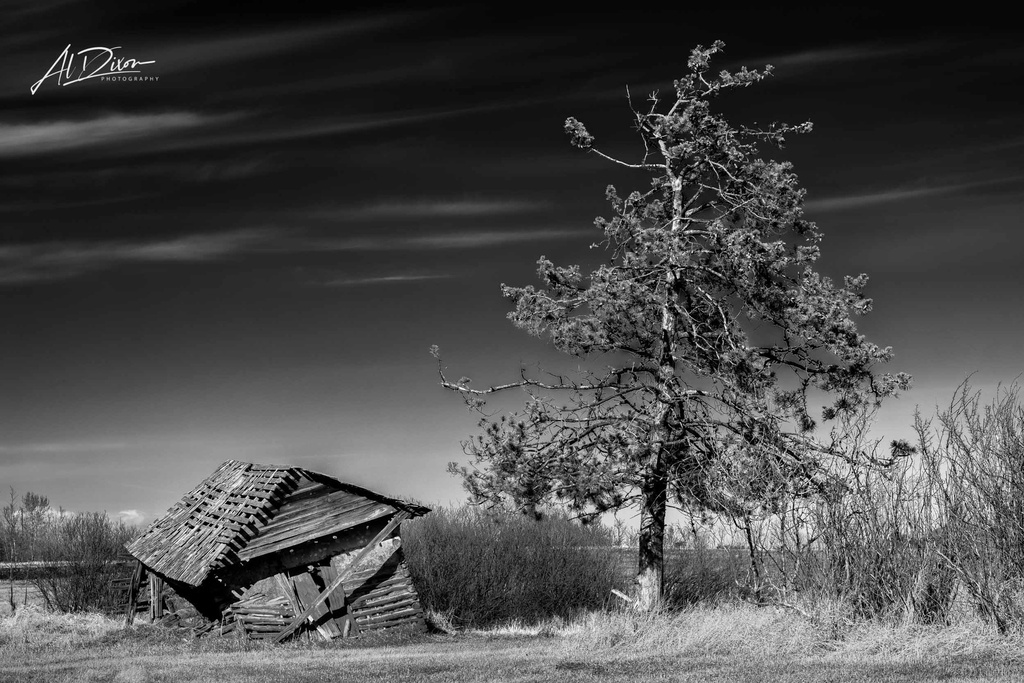 Leaning (12" x 18", 60lb. River Linen 2.0)