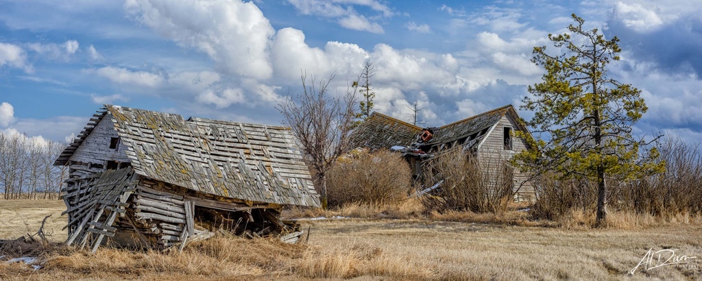 Ol' Homestead