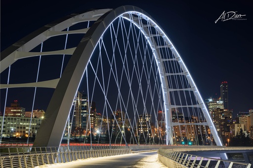 Walterdale at Night